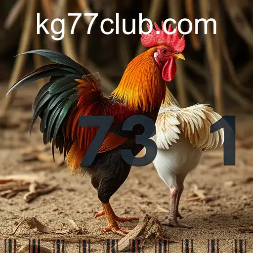 The Thriving World of Sabong Games